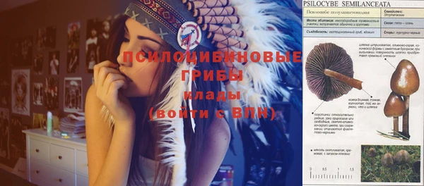 spice Баксан